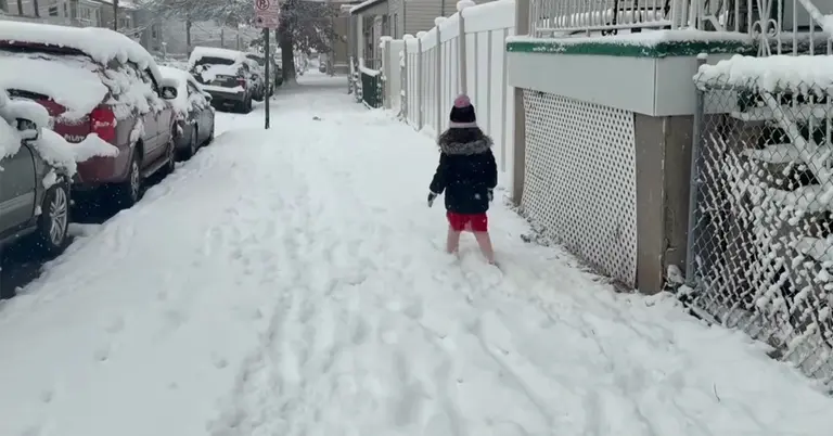 নিউ ইয়র্ক-নিউ জার্সিতে ভারী তুষারপাত